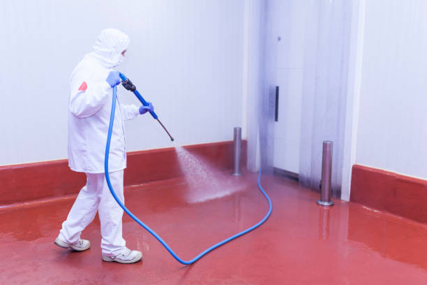 Best Factory Floor Cleaning  in Leon Valley, TX